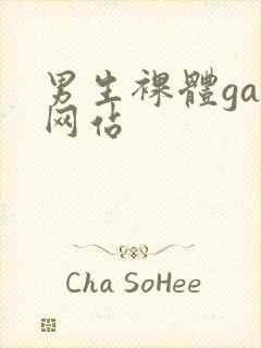 男生裸体gay网站