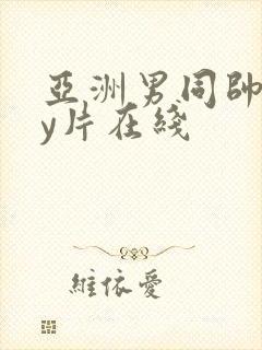 亚洲男同帅gay片在线