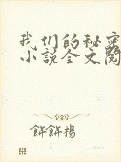 我们的秘密原著小说全文阅读封面