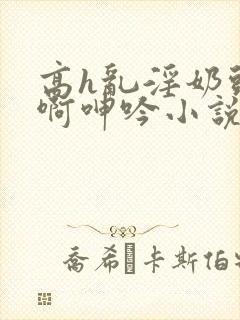 高h乱淫奶头嗯啊呻吟小说封面