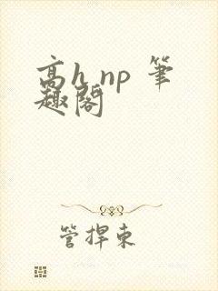 高h np 笔趣阁封面