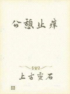 公憩止痒封面