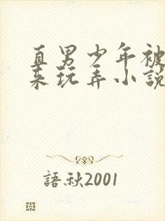 直男少年被绑起来玩弄小说改编