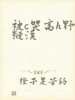 被c哭高h野外糙汉