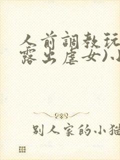 人前调教玩弄(露出虐女)小说