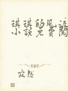 琪琪的风流人生小说免费阅读全文无弹窗封面