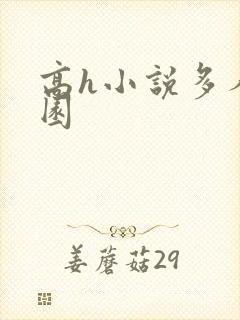 高h小说多人校园