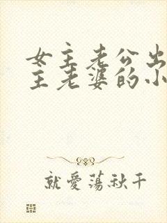 女主老公出轨男主老婆的小说封面