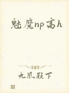 魅魔np高h封面