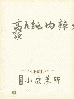 高h纯肉辣文小说封面