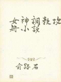 女神调教攻略手册小说