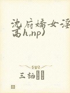 沈府娇女淫史(高h,np)