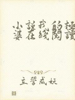 小说我的极品老婆在线阅读