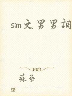 sm文男男调教封面