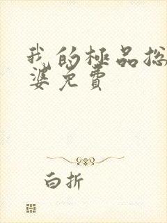 我的极品总裁老婆免费