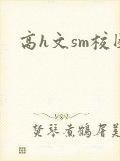 高h文sm校园
