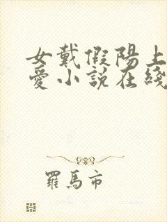 女戴假阳上男四爱小说在线阅读最新