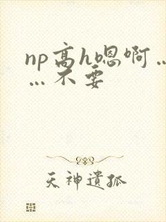 np高h嗯啊……不要