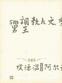 sm调教h文双男主