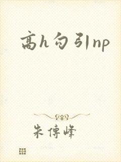 高h勾引np封面