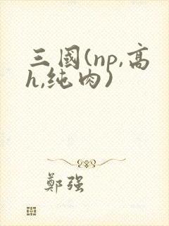 三国(np,高h,纯肉)