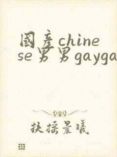 国产chinese男男gaygay网站2025封面