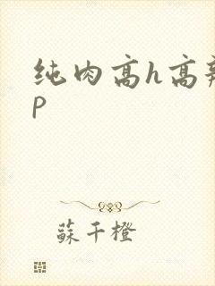 纯肉高h高辣np