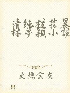 清纯校花暴露记林梦颖小说免费阅读最新章