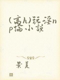 (高h)玩淫np伦小说封面