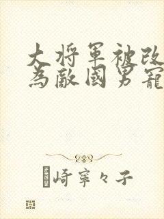 大将军被改造沦为敌国男宠封面