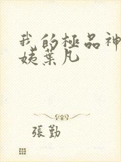 我的极品神级小姨叶凡