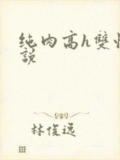 纯肉高h双性小说