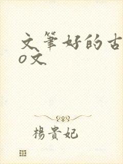 文笔好的古言po文