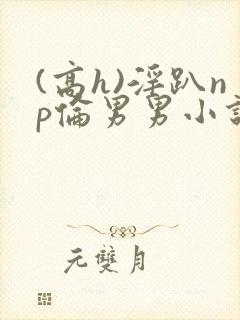 (高h)淫趴np伦男男小说封面