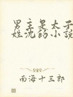 男主是太子女主姓沈的小说封面