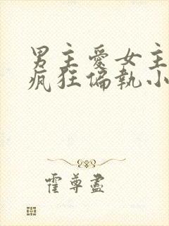 男主爱女主爱到疯狂偏执小说