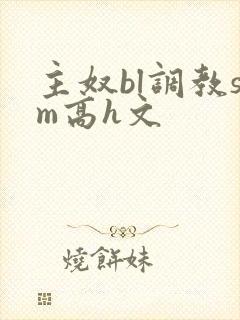 主奴bl调教sm高h文封面