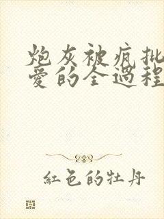 炮灰被疯批强制爱的全过程np【快/穿】