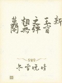 万相之王新笔趣阁无弹窗