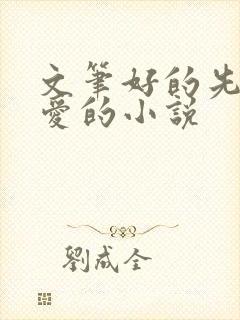 文笔好的先婚后爱的小说