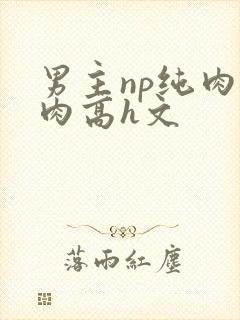 男主np纯肉巨肉高h文