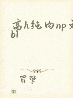 高h纯肉np文bl