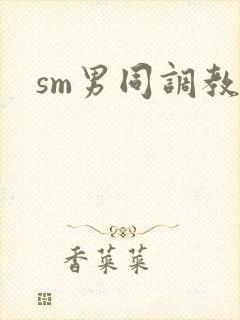 sm男同调教文