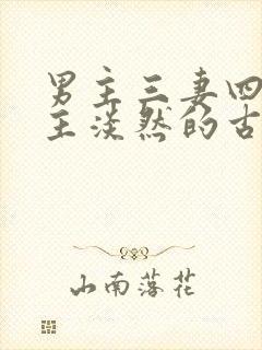 男主三妻四妾女主淡然的古言封面