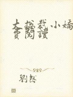 大总裁小娇妻免费阅读