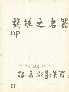 系统之名器攻略np