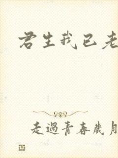 君生我已老晋江