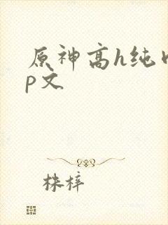 原神高h纯肉np文