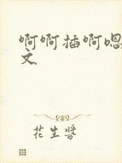 啊啊插啊嗯嗯h文封面