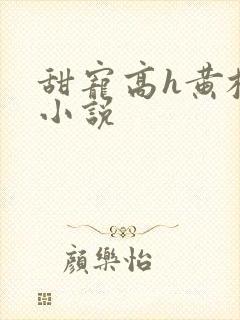 甜宠高h黄校园小说